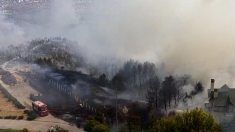 Ankara’nın Gölbaşı ilçesinde ormanlık alanda yangın